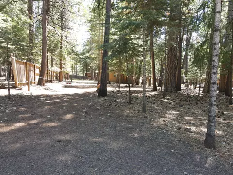 30537 Figaro, Shingletown, CA 96088 photo 16
