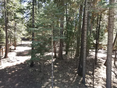 30537 Figaro, Shingletown, CA 96088 photo 17