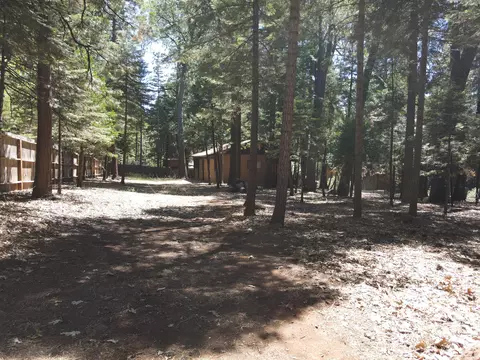 30537 Figaro, Shingletown, CA 96088 photo 15