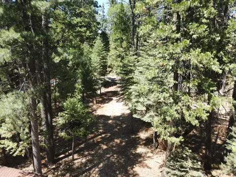 30537 Figaro, Shingletown, CA 96088 photo 10