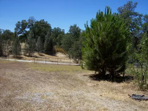 21893 Squaw Grass Trl, Redding, CA 96003 photo 8