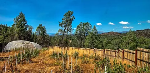 14341 Moss Dr, Redding, CA 96003 photo 36
