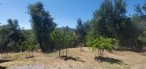 14341 Moss Dr, Redding, CA 96003 photo 39
