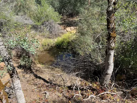 17115 Buzzard Roost Rd, Round Mountain, CA 96084 photo 24