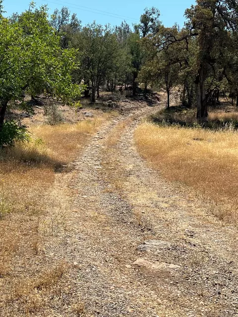 17115 Buzzard Roost Rd, Round Mountain, CA 96084 photo 40