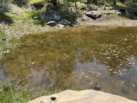 17115 Buzzard Roost Rd, Round Mountain, CA 96084 photo 13