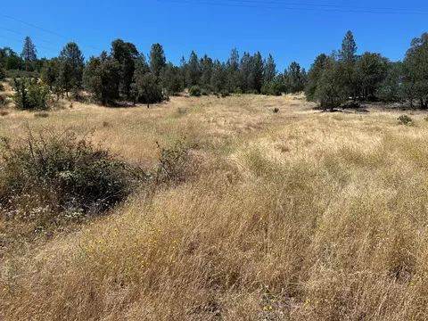 17115 Buzzard Roost Rd, Round Mountain, CA 96084 photo 30