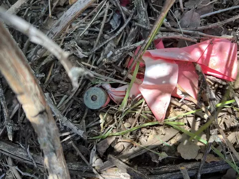 17115 Buzzard Roost Rd, Round Mountain, CA 96084 photo 33