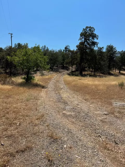 17115 Buzzard Roost Rd, Round Mountain, CA 96084 photo 4