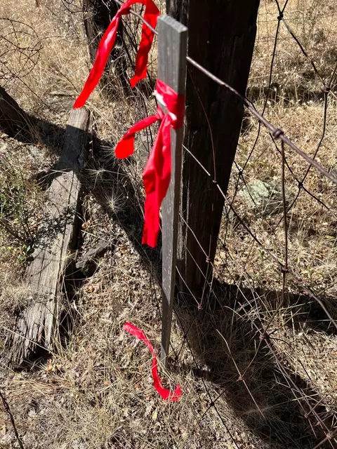 17115 Buzzard Roost Rd, Round Mountain, CA 96084 photo 35