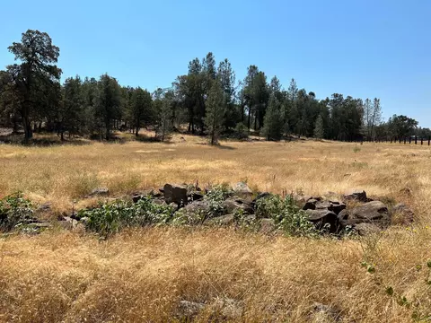 17115 Buzzard Roost Rd, Round Mountain, CA 96084 photo 39