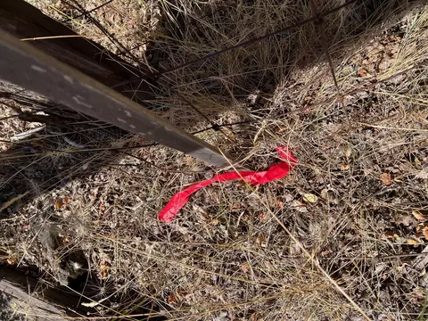 17115 Buzzard Roost Rd, Round Mountain, CA 96084 photo 36