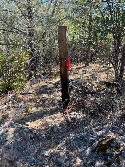 17115 Buzzard Roost Rd, Round Mountain, CA 96084 photo 38