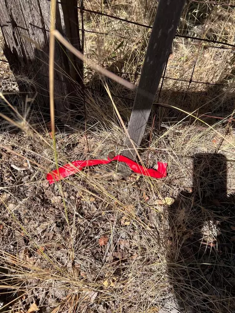 17115 Buzzard Roost Rd, Round Mountain, CA 96084 photo 37