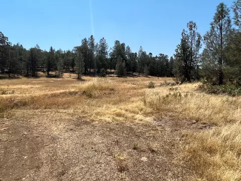 17115 Buzzard Roost Rd, Round Mountain, CA 96084 photo 41