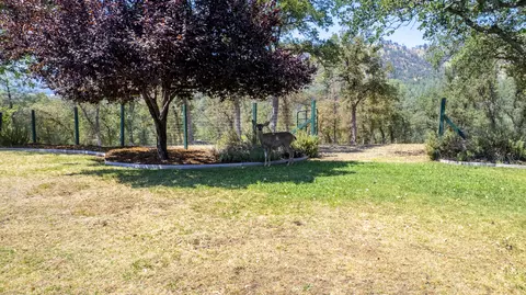 7798 Justice Mine Rd, Redding, CA 96001 photo 26