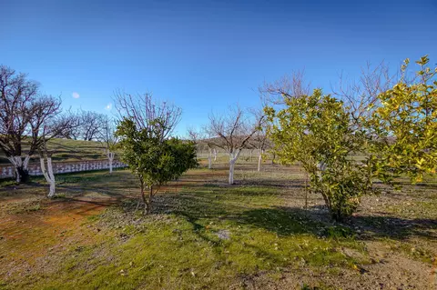 18240 Riverview Ranch Rd, Red Bluff, CA 96080 photo 67