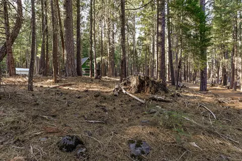 8564 Lake Mccumber Rd, Shingletown, CA 96088 photo 67