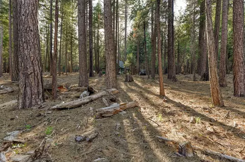 8564 Lake Mccumber Rd, Shingletown, CA 96088 photo 69