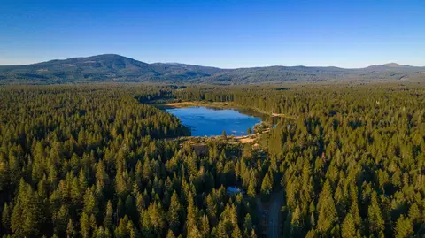 8564 Lake Mccumber Rd, Shingletown, CA 96088 photo 39