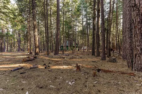 8564 Lake Mccumber Rd, Shingletown, CA 96088 photo 70