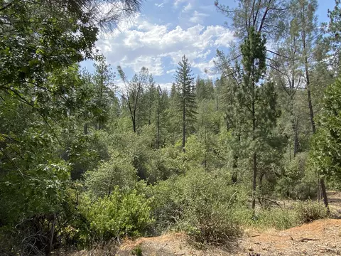 17653 Walker Mine Rd, Redding, CA 96003 photo 8