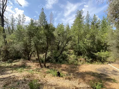 17653 Walker Mine Rd, Redding, CA 96003 photo 27