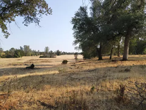 Old Oregon Trail, Redding, CA 96003 photo 47