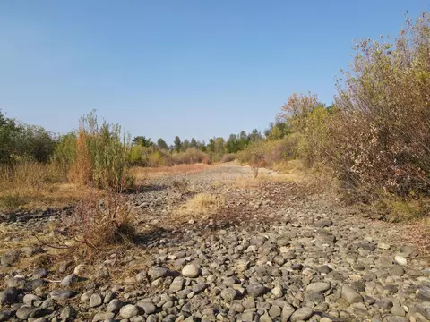 Old Oregon Trail, Redding, CA 96003 photo 20