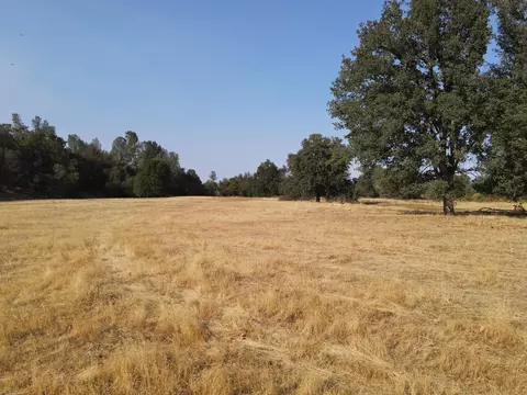 Old Oregon Trail, Redding, CA 96003 photo 25
