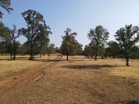 Old Oregon Trail, Redding, CA 96003 photo 16