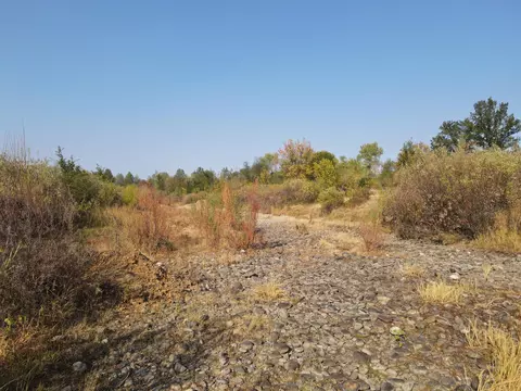 Old Oregon Trail, Redding, CA 96003 photo 19
