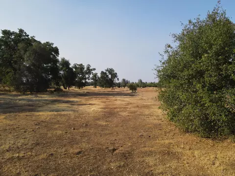 Old Oregon Trail, Redding, CA 96003 photo 35