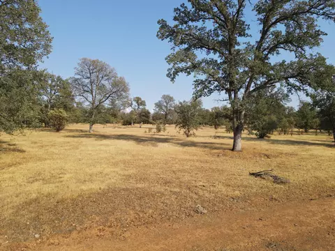 Old Oregon Trail, Redding, CA 96003 photo 17
