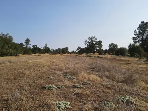 Old Oregon Trail, Redding, CA 96003 photo 27