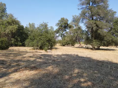 Old Oregon Trail, Redding, CA 96003 photo 2