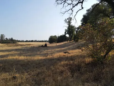 Old Oregon Trail, Redding, CA 96003 photo 43