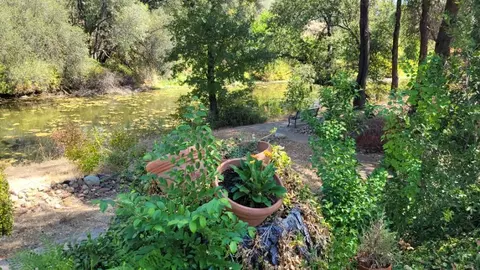 1533 Arroyo Manor Dr, Redding, CA 96003 photo 50