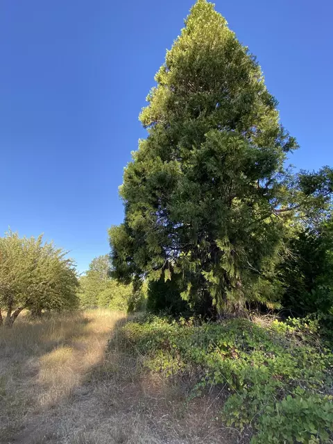 17626 Mountain School Rd, Round Mountain, CA 96084 photo 55