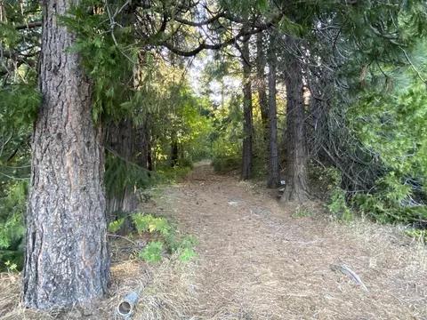 17626 Mountain School Rd, Round Mountain, CA 96084 photo 48