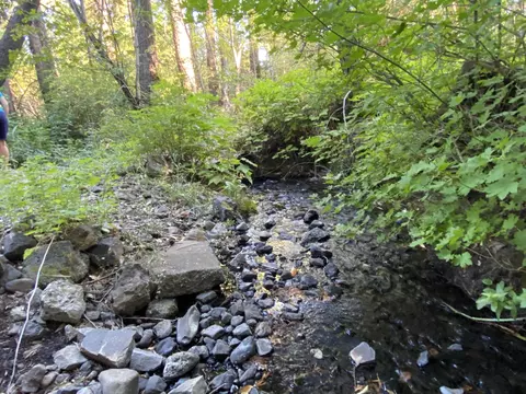 17626 Mountain School Rd, Round Mountain, CA 96084 photo 44