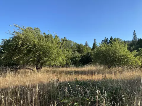 17626 Mountain School Rd, Round Mountain, CA 96084 photo 50