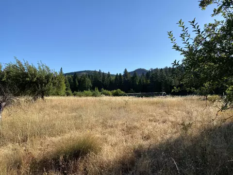 17626 Mountain School Rd, Round Mountain, CA 96084 photo 52