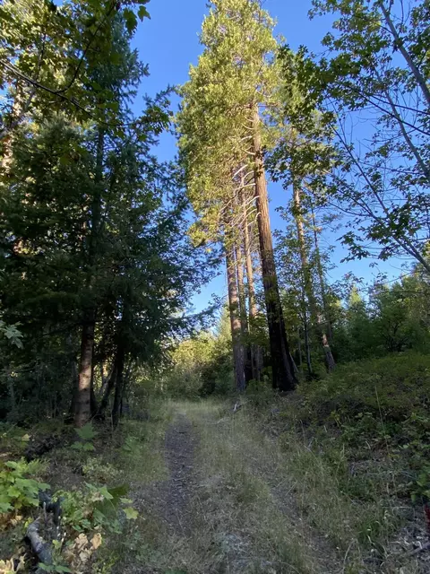 17626 Mountain School Rd, Round Mountain, CA 96084 photo 42