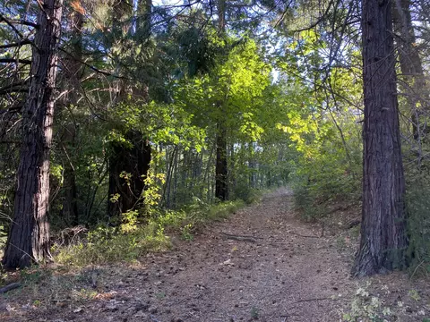 17626 Mountain School Rd, Round Mountain, CA 96084 photo 56