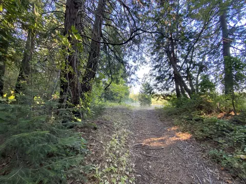17626 Mountain School Rd, Round Mountain, CA 96084 photo 47