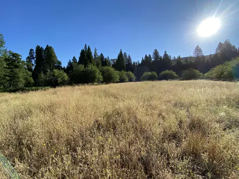 17626 Mountain School Rd, Round Mountain, CA 96084 photo 54
