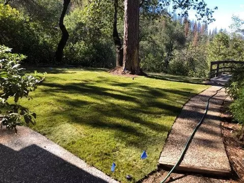 12877 Bobs Mountain Rd, Redding, CA 96003 photo 50