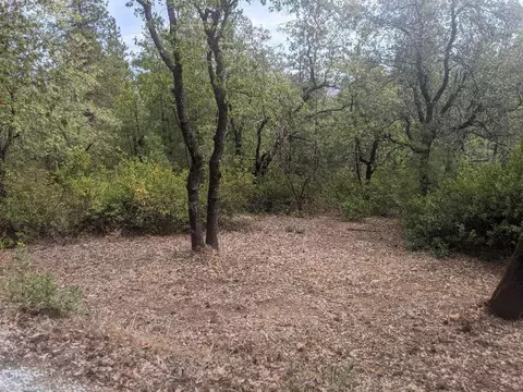 12877 Bobs Mountain Rd, Redding, CA 96003 photo 49