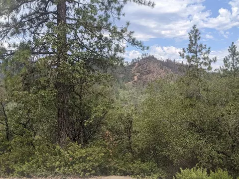 12877 Bobs Mountain Rd, Redding, CA 96003 photo 32